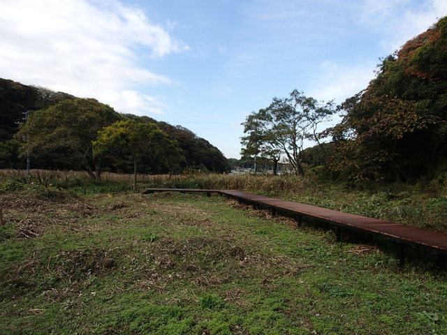 PB110778.JPG