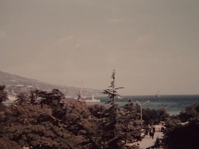 画像1.jpg